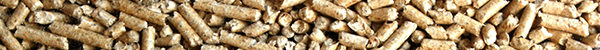 1bbf67_0d634284c2344bfdb44ffcfabd4662b6.jpg